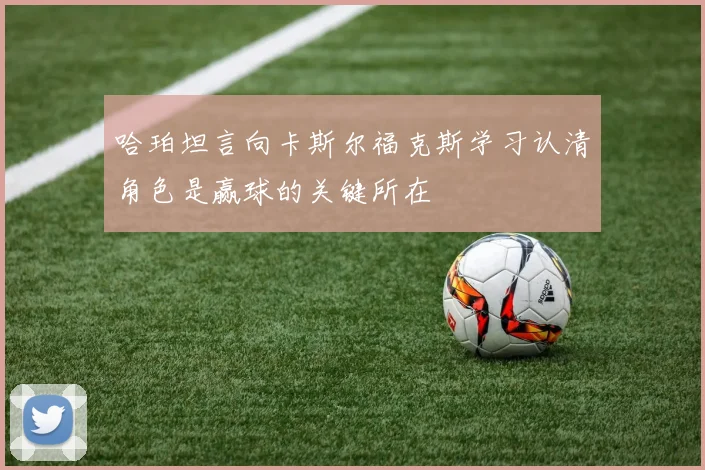 哈珀坦言向卡斯尔福克斯学习认清角色是赢球的关键所在